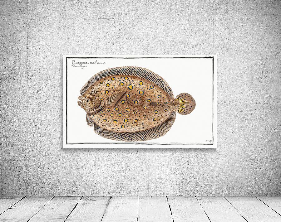 Plate Fish Wall Preview