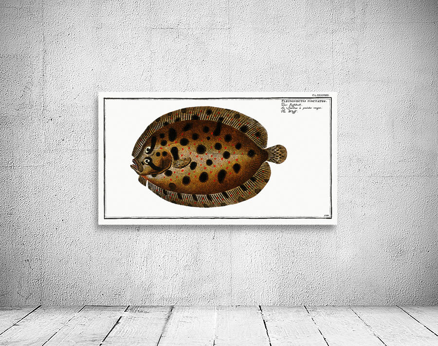 Topknot Wall Preview