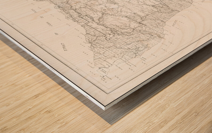 1915 Forestry Map of the Olympic National Forest – Early 20th-Century Map Depicting Trails Rivers Campsites and Logging Areas Reflecting U.S. Forest Service Management Conservation and the Natural Geography of Washington State Wood print