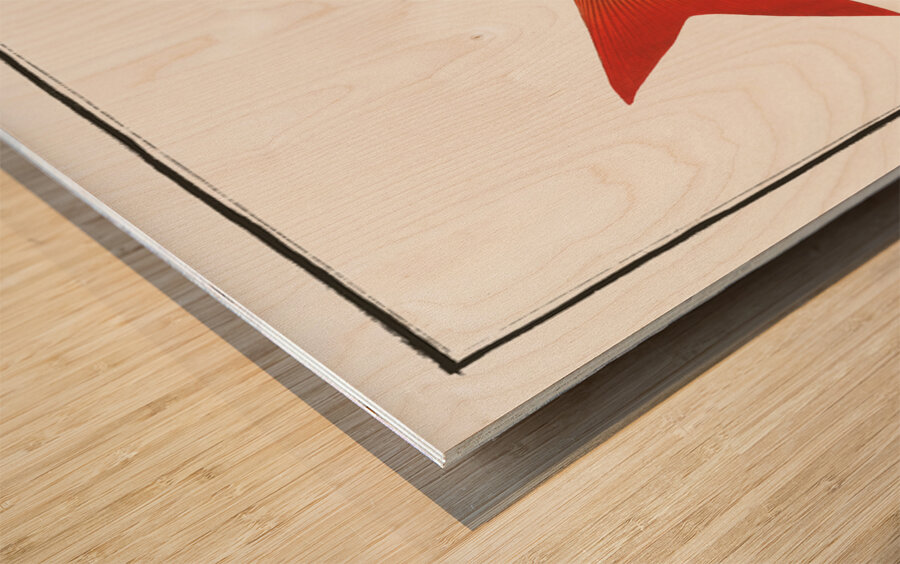 Goldfish Wood print
