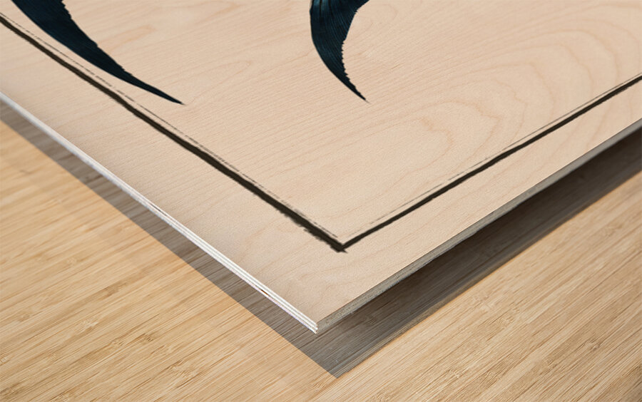 Great Pompano Palometa Wood print