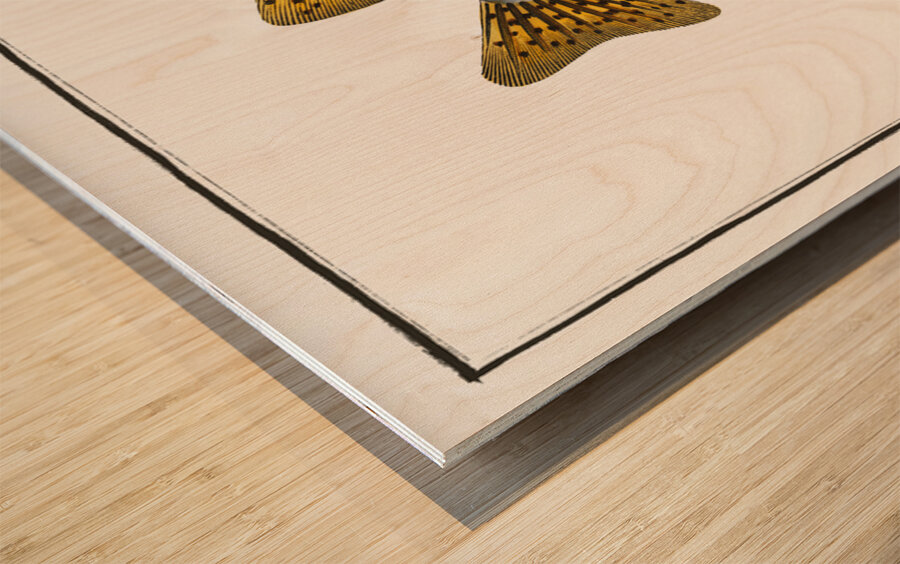 Spot Fin Porcupinefish Wood print