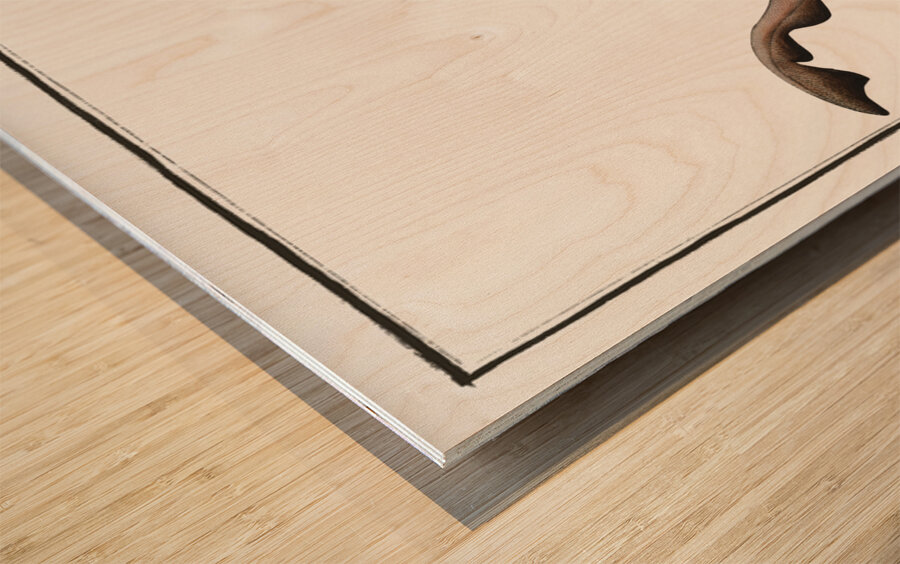 School Shark Wood print