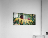 Yellow Flower 2 Acrylic Print