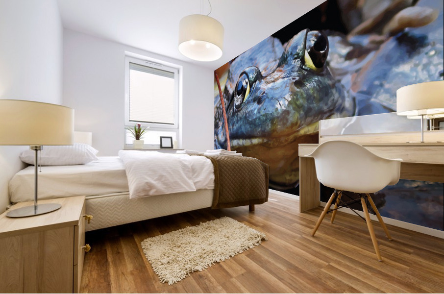 Serious Frog Mural print