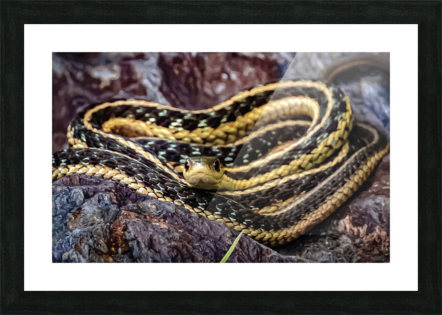  Fine Art print