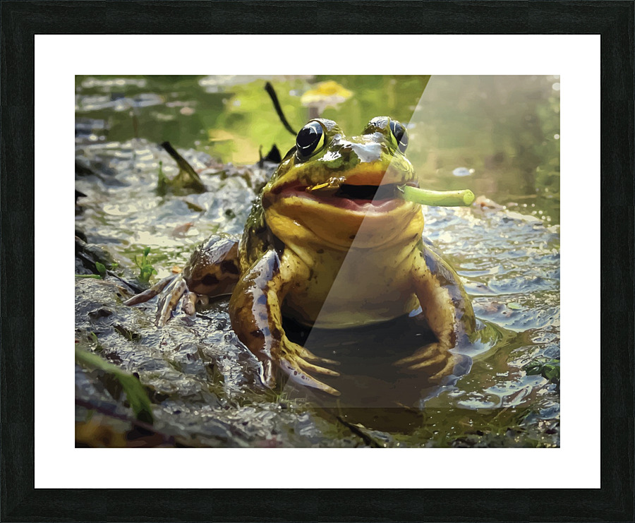  Fine Art print