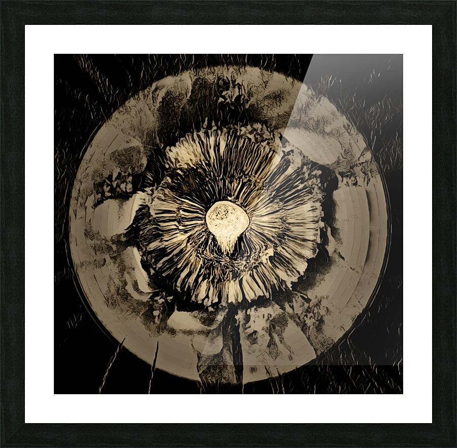  Fine Art print