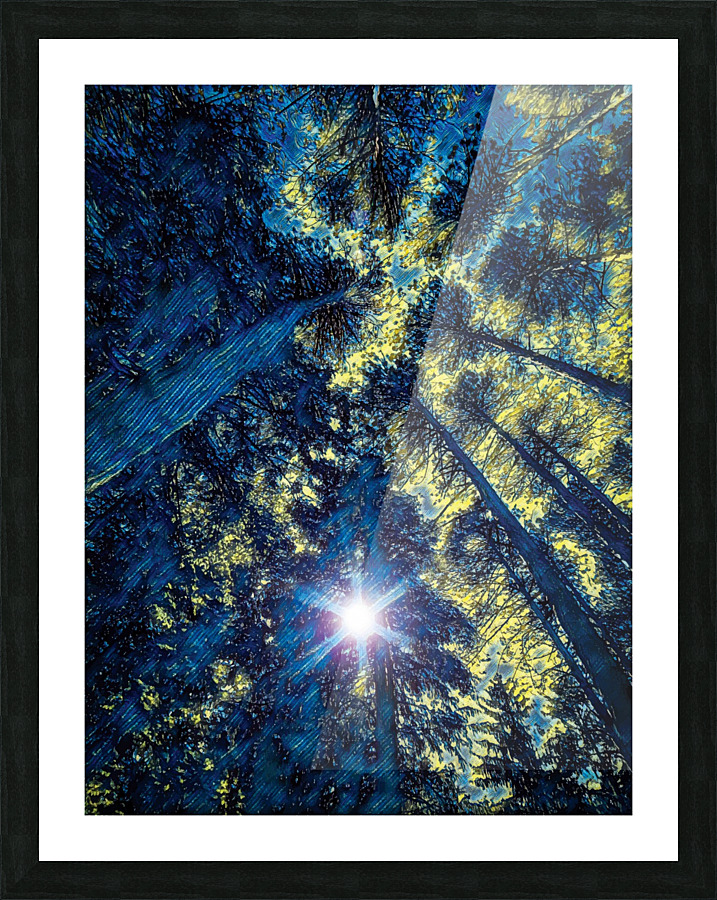  Fine Art print