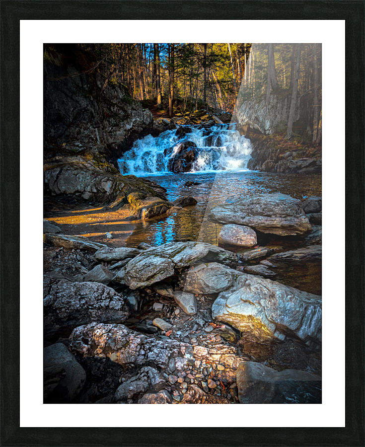  Fine Art print