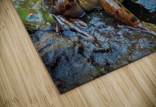 Frog smoking a dandelion James M Gallagher puzzle