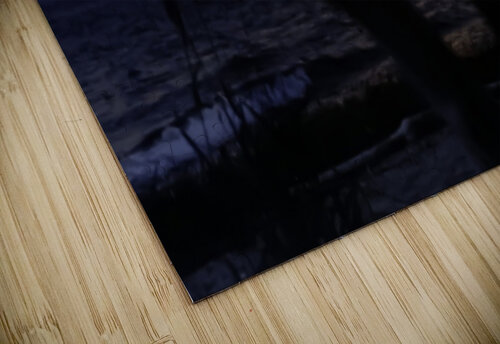Sunset through driftwood James M Gallagher puzzle