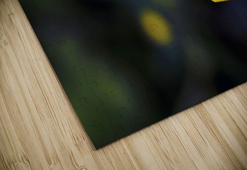 Yellow Flower James M Gallagher puzzle