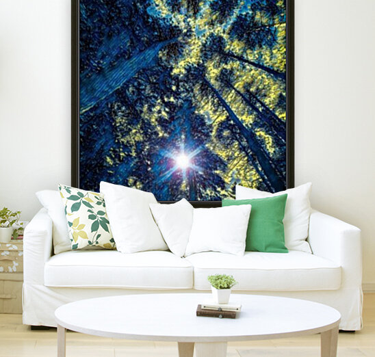Sun through the pine trees Reproduction