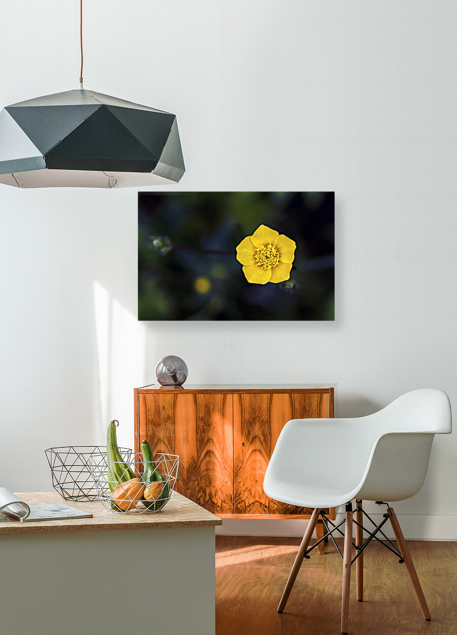 Yellow Flower Reproduction