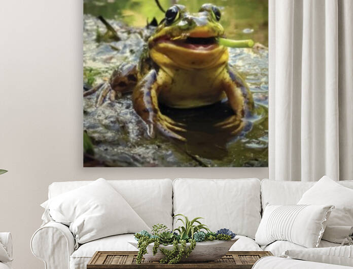 Happy frog with dandelion by James M Gallagher