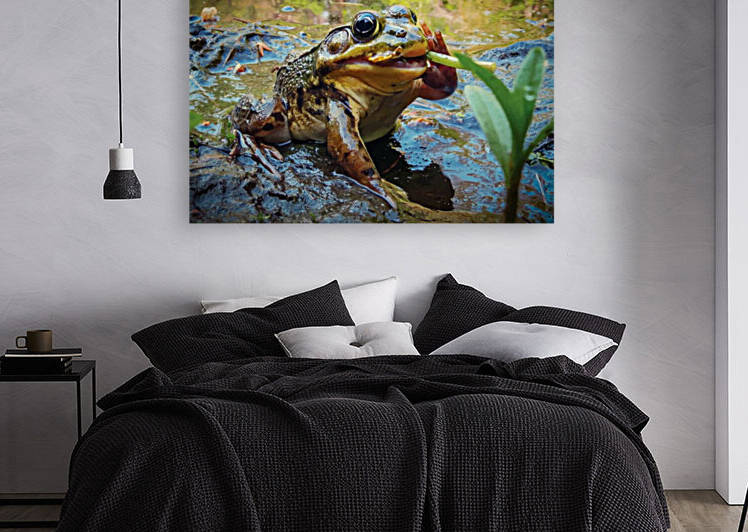 Frog smoking a dandelion by James M Gallagher