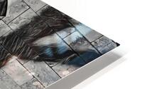 Shadow on gothic window HD Metal print