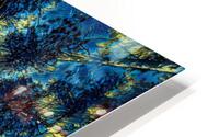 Sun through the pine trees HD Metal print