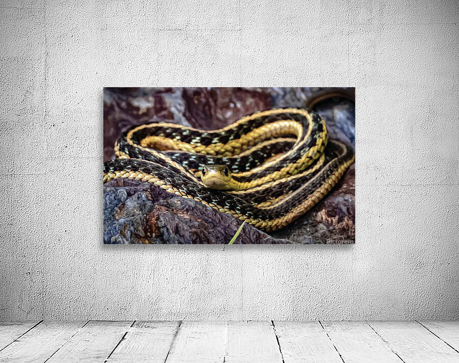 Snake Wall Preview