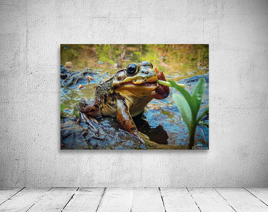 Frog smoking a dandelion Wall Preview