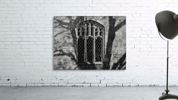 Shadow on gothic window Wall Preview