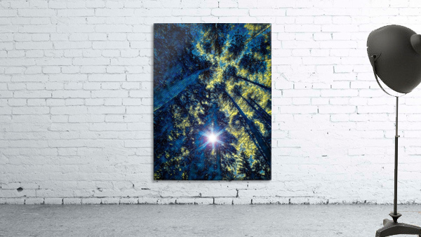 Sun through the pine trees Wall Preview