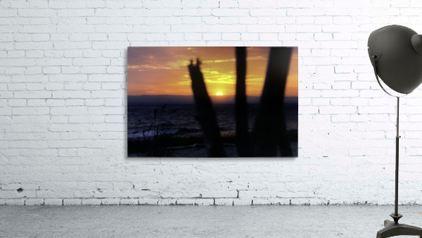 Sunset through driftwood Wall Preview