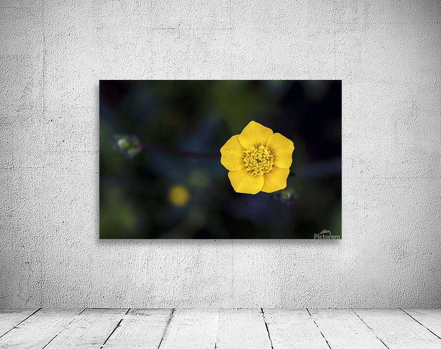 Yellow Flower Wall Preview