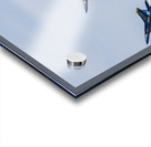 DSC00306 Edit Acrylic print