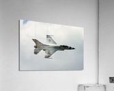 Thunderbird in Flight Acrylic Print