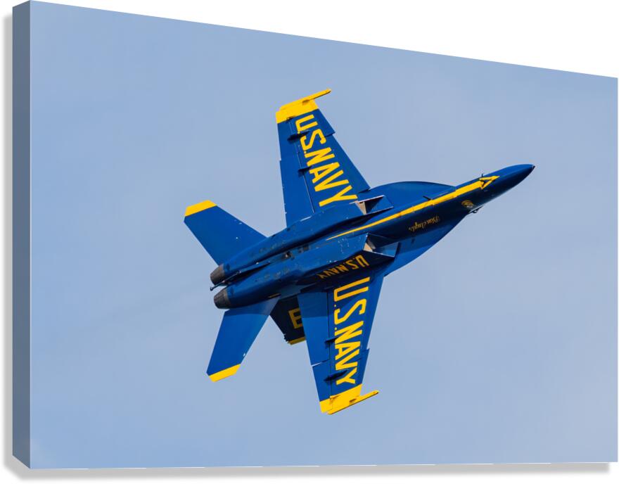 Blue Angel  6 Canvas Print