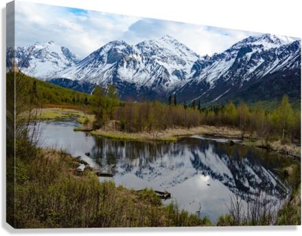 Alaskan Winterscape Canvas Print