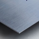 DSC00306 Edit Metal print