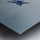 Blue Angels Delta Breakaway Metal print