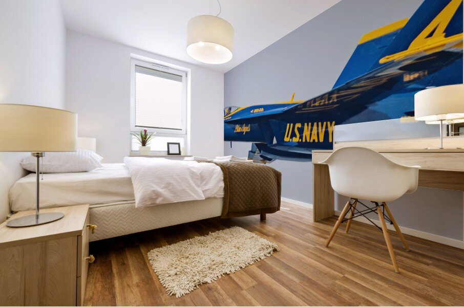 Blue Angel  4 Solo Pass Mural print