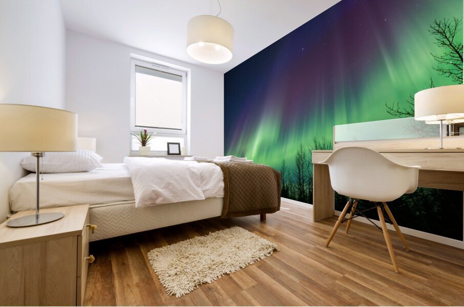 North Fork Eagle River Aurora Mural print