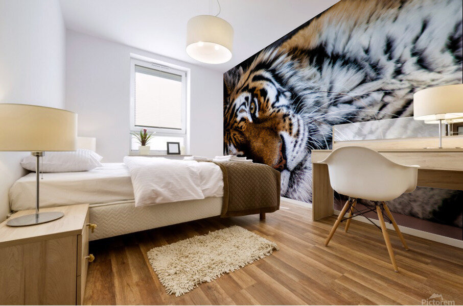 Lazy Tiger Mural print