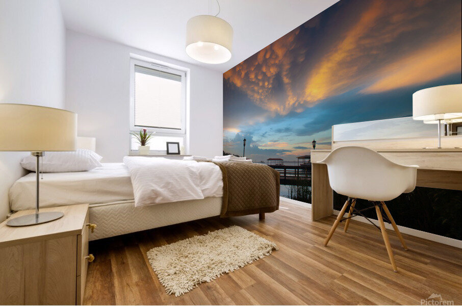 St. Johns Sunset 2 Mural print