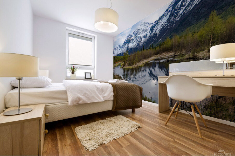 Alaskan Winterscape Mural print