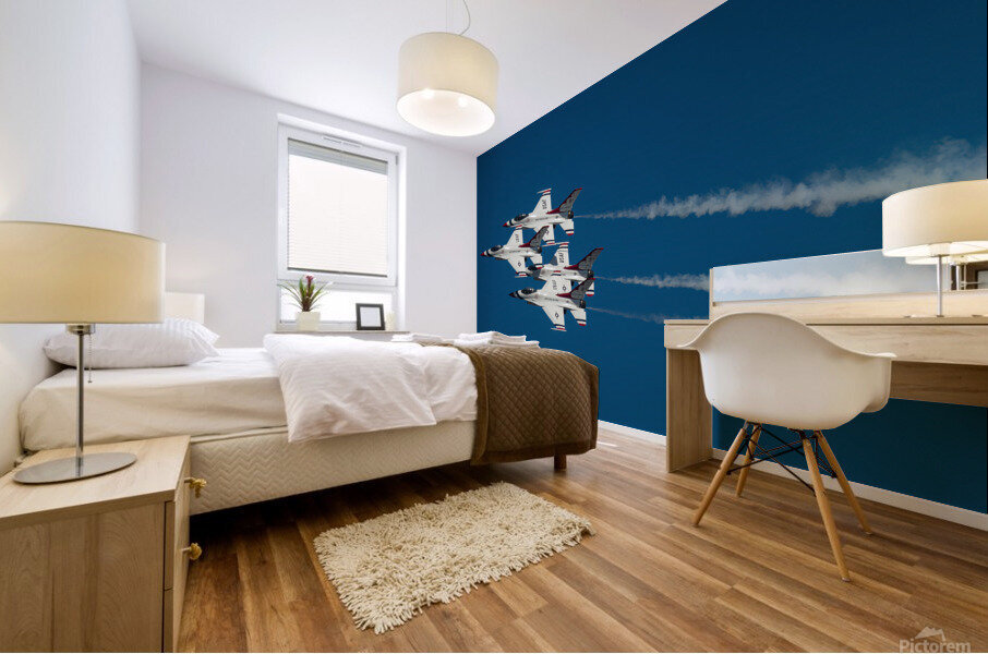 Thunderbird Diamond Mural print