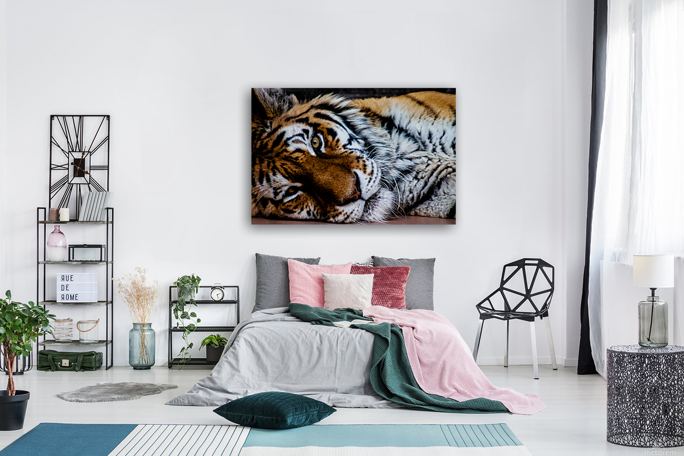 Lazy Tiger Reproduction