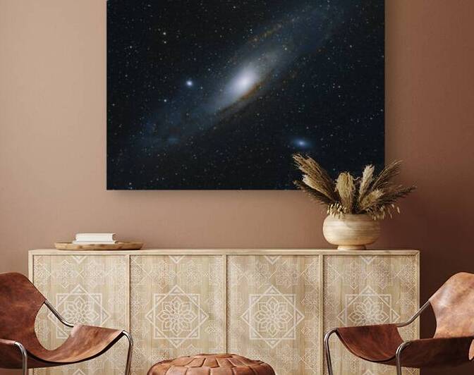 Andromeda by Frosted Birch Photography