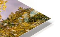 Fall Road HD Metal print