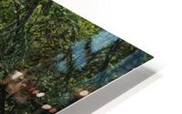 McHugh Creek HD Metal print