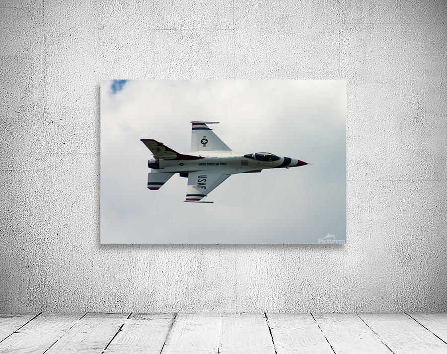 Thunderbird in Flight Wall Preview