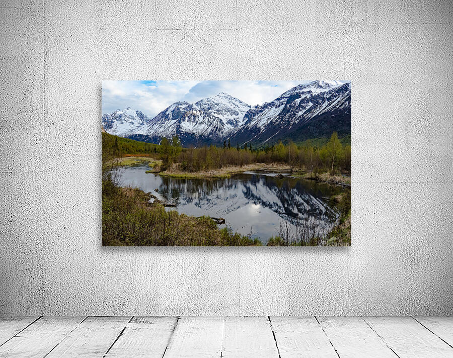 Alaskan Winterscape Wall Preview