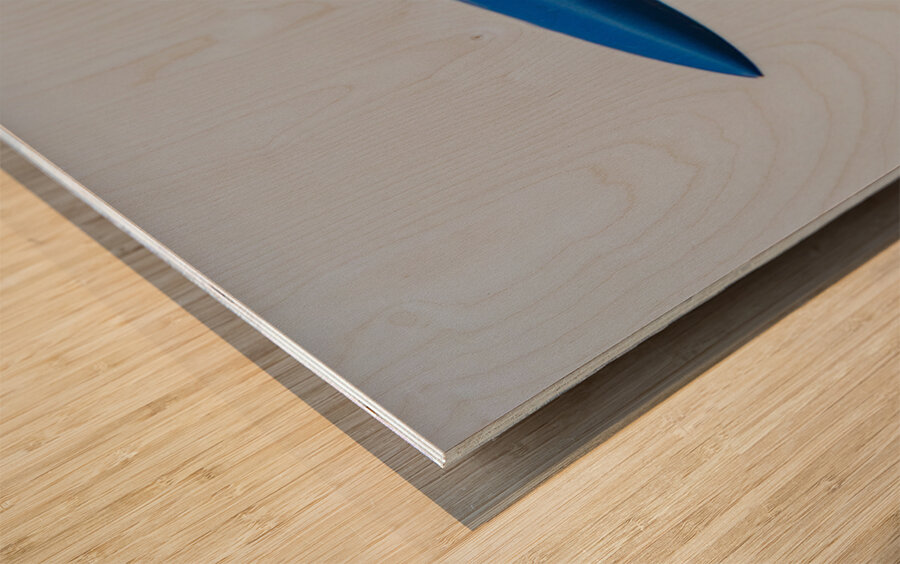 Blue Angel  4 Solo Pass Wood print