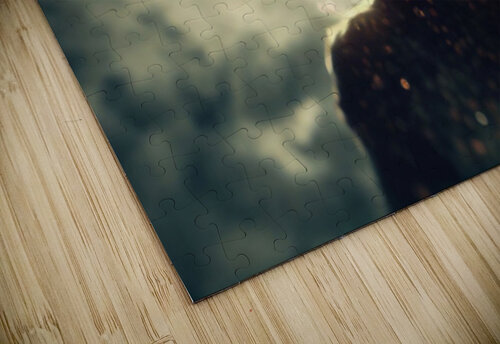 Sun Eclipse Paul Mitan puzzle