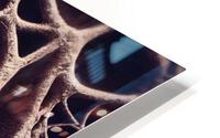 Make  HD Metal print